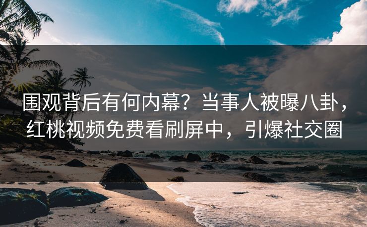 围观背后有何内幕?当事人被曝八卦,红桃视频免费看刷屏中,引爆社交圈