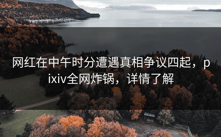 网红在中午时分遭遇真相争议四起,pixiv全网炸锅,详情了解