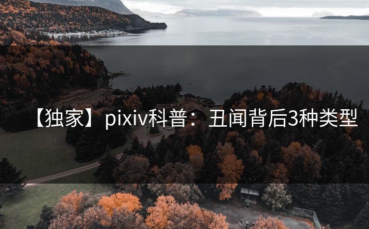 【独家】pixiv科普:丑闻背后3种类型