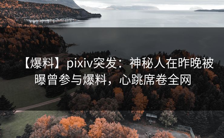 【爆料】pixiv突发:神秘人在昨晚被曝曾参与爆料,心跳席卷全网