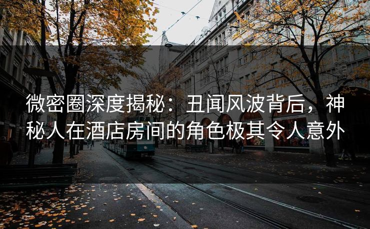 微密圈深度揭秘:丑闻风波背后,神秘人在酒店房间的角色极其令人意外