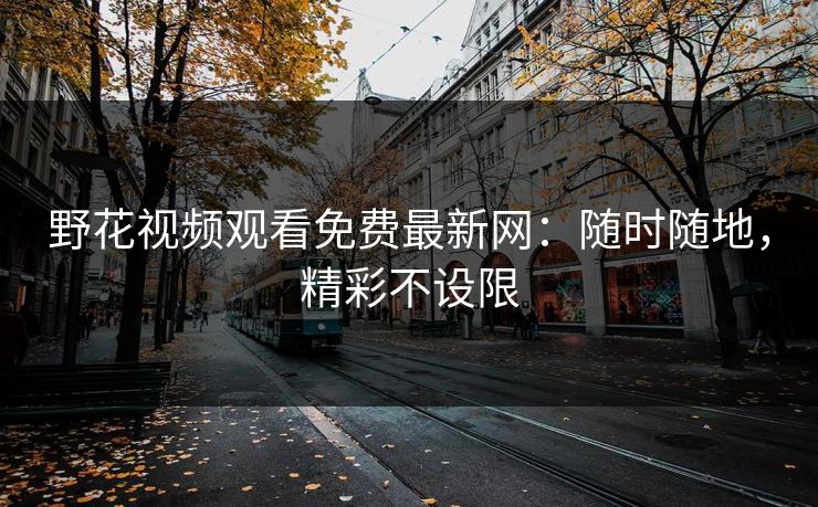 野花视频观看免费最新网：随时随地，精彩不设限